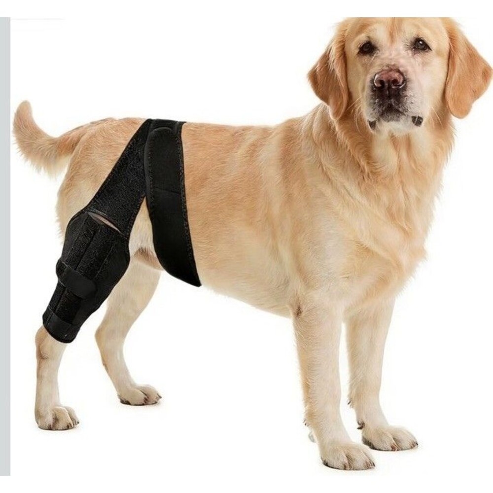 Dog Knee Brace for Torn ACL Hind Leg - Rear Leg Wrap with Metal Stabilizers SZ M